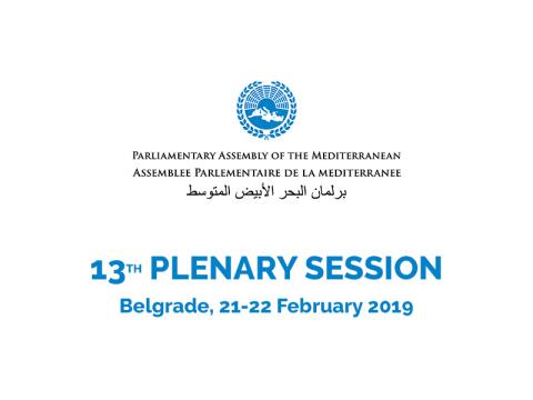 PAM 13th Plenary Session