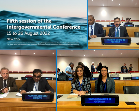 PAM participated in the 5th Intergovernmental Conference on the UN High Seas Treaty
