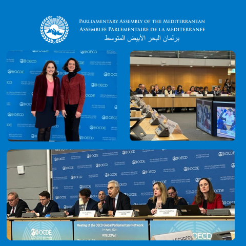 PAM contributes to the 2024 OECD Global Parliamentary Network Plenary Meeting
