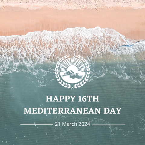 PAM 16th Mediterranean Day: Innovation and Urban Sustainable Development